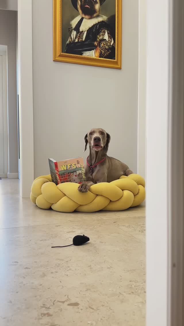 У НАС ДОМА ЗАВЕЛАСЬ КРЫСА 🐁😨 смотреть онлайн