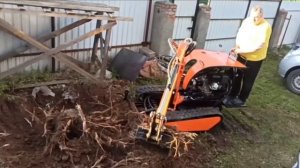Тверской мини экскаватор выкапывает пень.  Black digger.