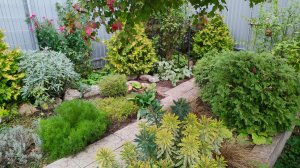 Переделка уголка у моего чайного домика и урожай орехов 07.10.2025 г. Пятигорск, зона 6б.