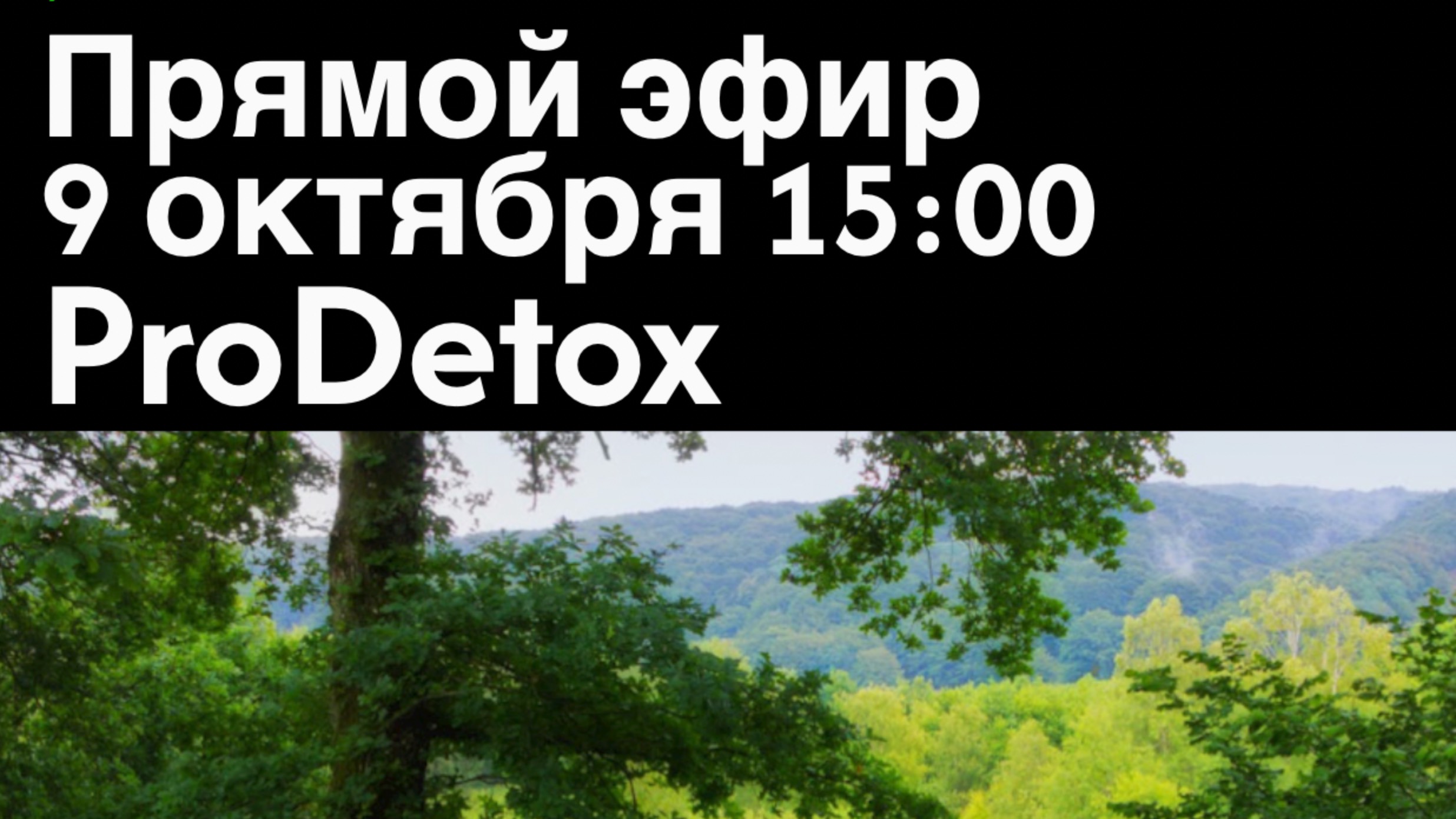 Прямой эфир ProDETOX смотреть онлайн
