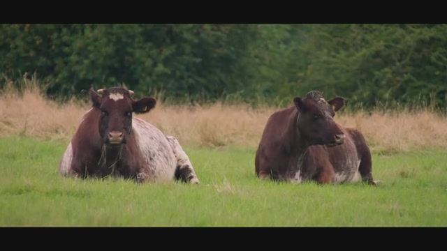 Телешоу "Ферма Кларксона", 2.04 (AlexFilm) смотреть онлайн