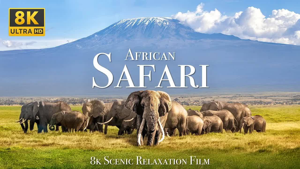 African Safari 4K - Scenic Wildlife Film With African Music смотреть онлайн