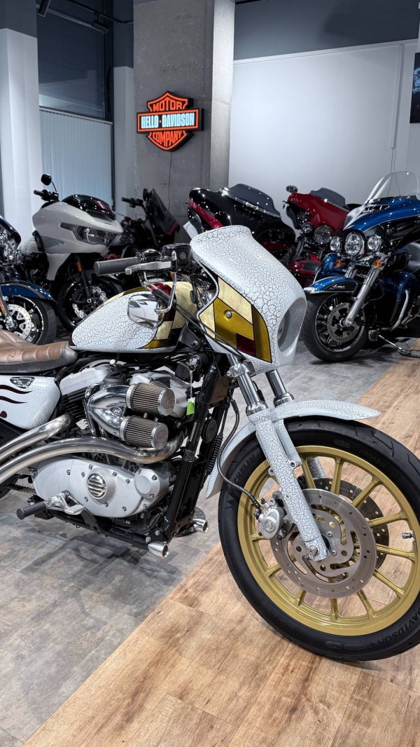 1200 Sportster Roadster CUSTOM