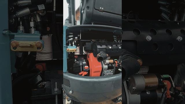 Rippa_ladys_ggma_skm_mwm.mp4