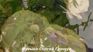 ♫Музыка Для души ♫ А Я Несу Тебе Цветы ♫ Музыка Сергей Грищук♫ @grishchuksergey
