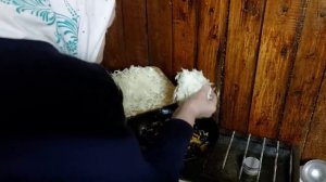 Капуста с грибами на Филиппов пост.