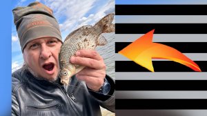 Рыбалка на реке Руза. Рузское водохранилище. Лещ, плотва, карась, фидер. Осень 2025