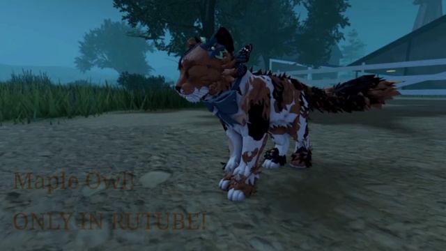 Идею и звук брала из ютуба/я ожила🙂/wcue