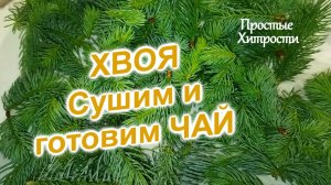 Хвойные иголочки (47)/Где сушить и как/Как быстро приготовить чай из хвои/Часть 2