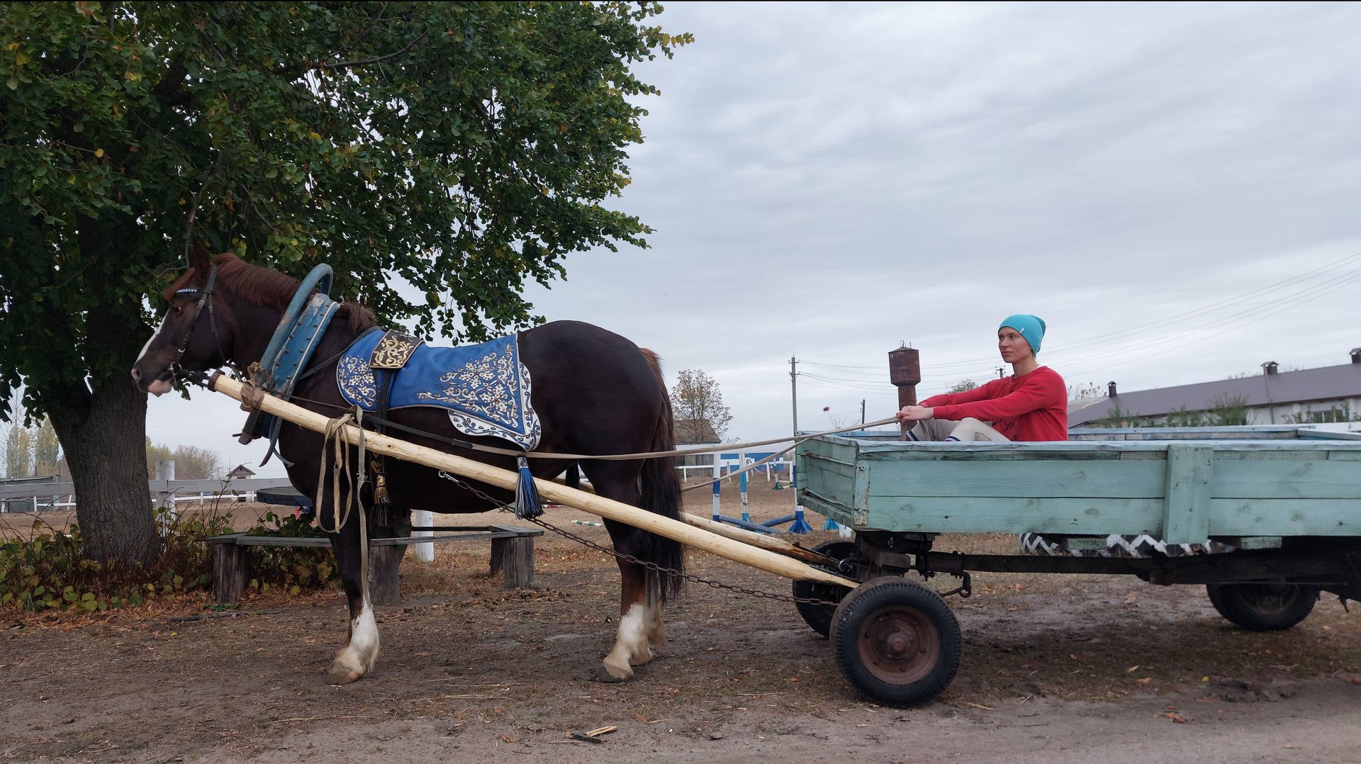 Роза ветров смотреть онлайн