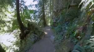 Анекдот про бизнесмена и плавки как бизнесмен покупал плавки в туристической поездке