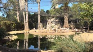 ПОРТУГАЛИЯ.Один из двух зоопарков Португалии оставил очень противоречивое впечатление! ГДЕ ЛЮДИ?