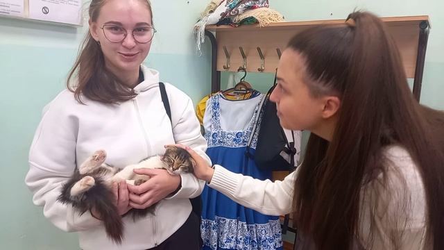 Наша Няша - соня... смотреть онлайн