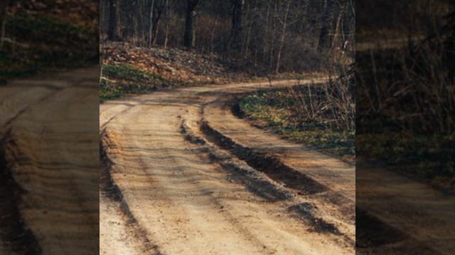 С днём Доблести (эх дороги)