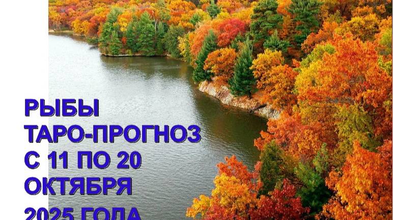 РЫБЫ ТАРО-ПРОГНОЗ С 11 ПО 20 ОКТЯБРЯ 2025 ГОДА смотреть онлайн