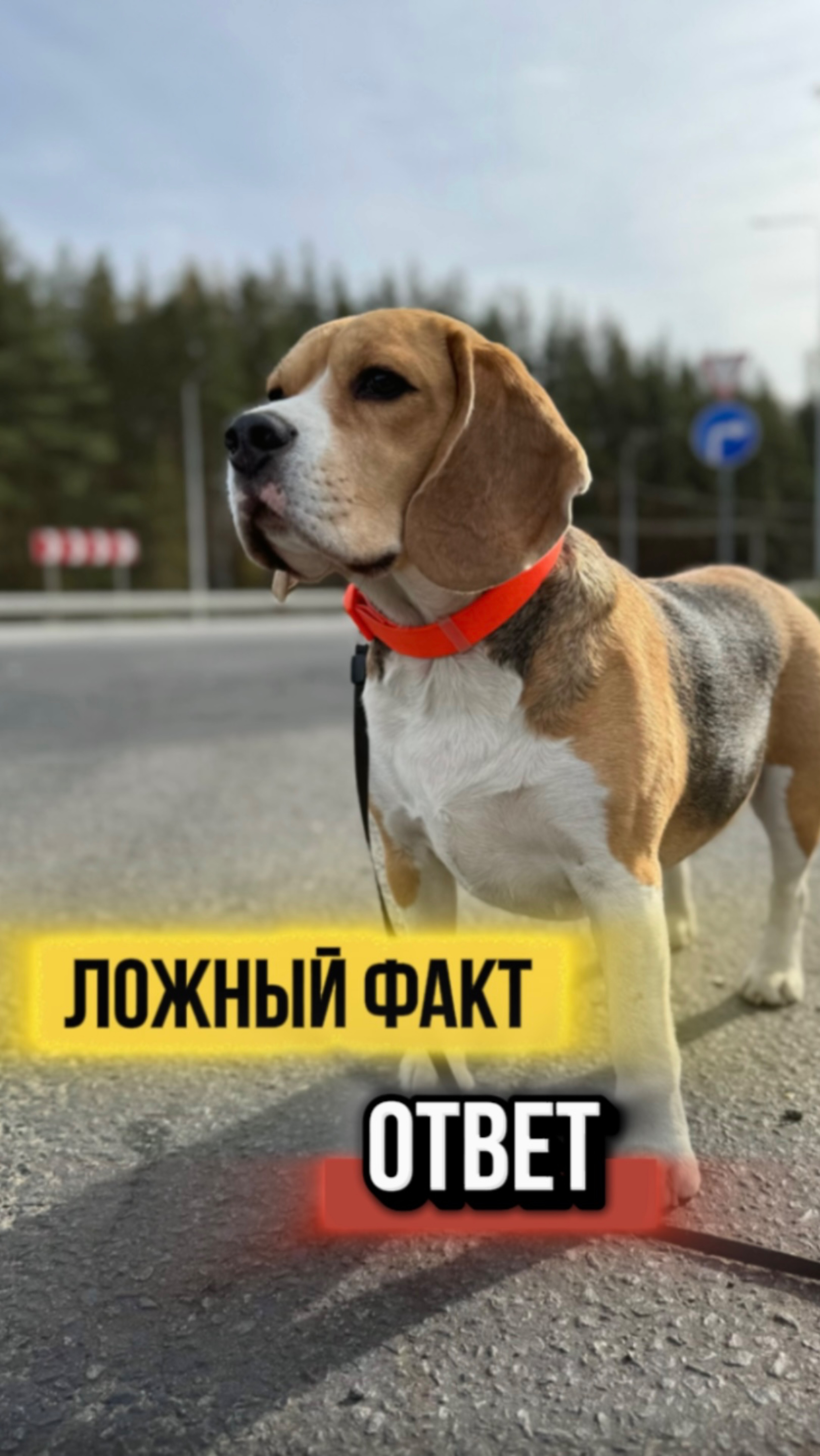 Угадали?) смотреть онлайн