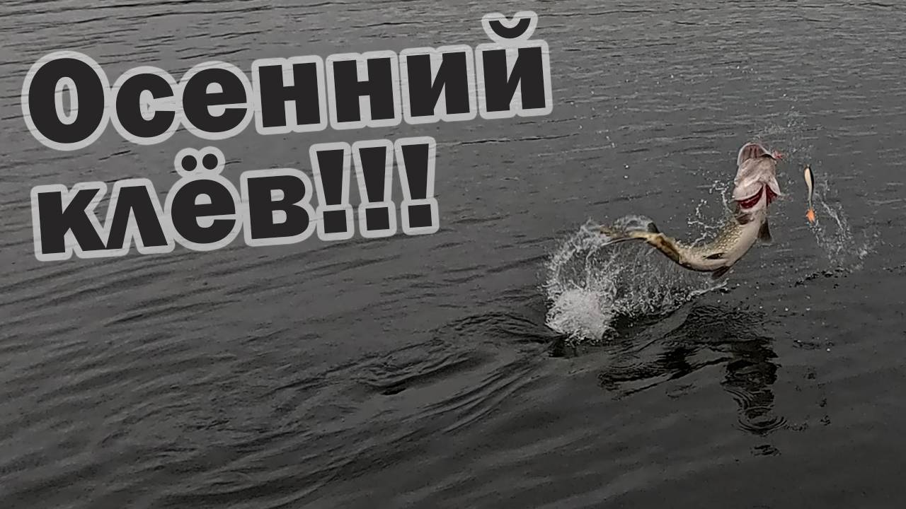 НОВЫЙ РЕКОРД ПО ЩУКЕ!!! ОХОТА НА МОНСТРОВ ПРОДОЛЖАЕТСЯ!!! смотреть онлайн