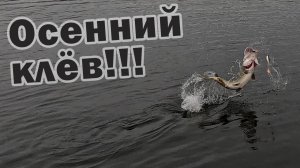 НОВЫЙ РЕКОРД ПО ЩУКЕ!!! ОХОТА НА МОНСТРОВ ПРОДОЛЖАЕТСЯ!!!