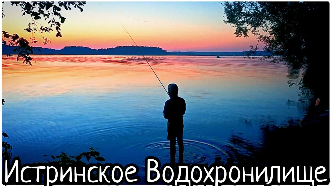#145 🚗 СПИМ в машине 🌊 Истринское водохранилище 🌲 Ужин Костёр 🔥 #истра #синийтрактор #365 #рыбал смотреть онлайн