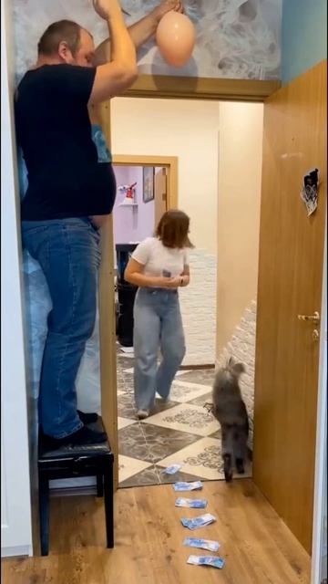 Перезвонила смотреть онлайн