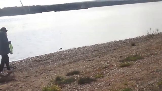 Девочка мечта - Автор музыка и поёт Игорь Горячев смотреть онлайн