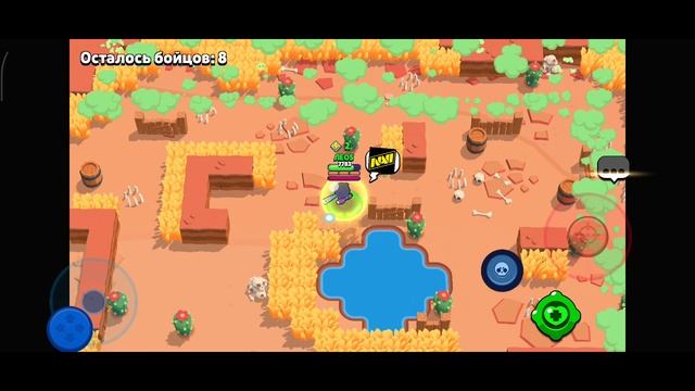 1000015716.mp4 смотреть онлайн