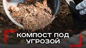 Ваш компост работает против вас: 7 опасных отходов, которые нельзя туда класть