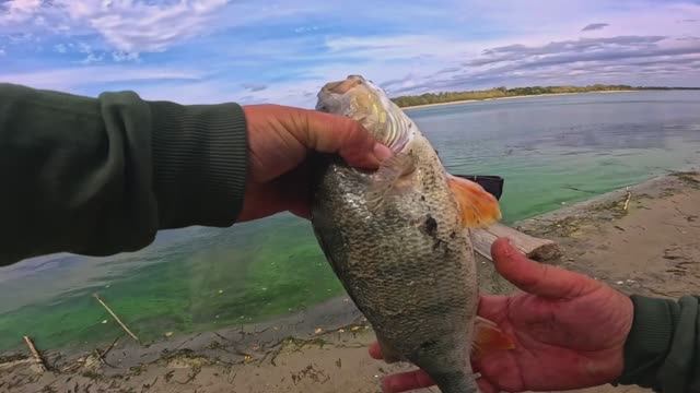 Фидерная Рыбалка остров БУЯН река ДОН смотреть онлайн