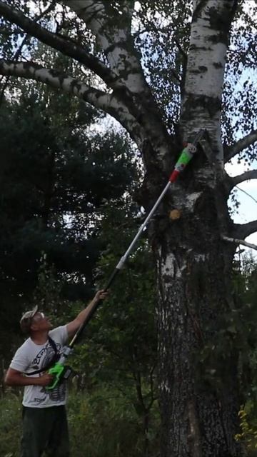 Лучший высоторез для сада смотреть онлайн