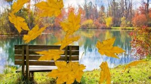 ФУТАЖ  ОСЕНЬ