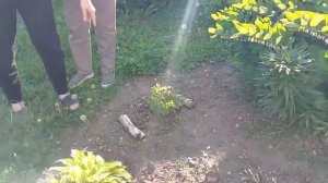 В гостях  Валентина 😍