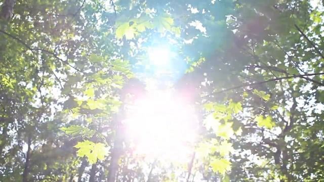 Музыка для сна смотреть онлайн