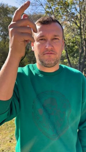 Мясное рагу с яблоками