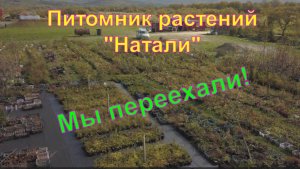 Питомник растений «Натали». Как мы переезжали.