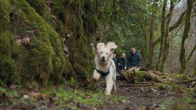 5 канал - Эльбрус (Россия) (2025) смотреть онлайн