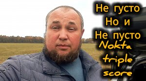 Полевые сигналы с Nokta triple score:Негусто но и не пусто