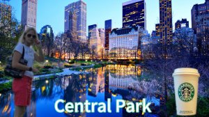 Nature Central Park NYC 2020