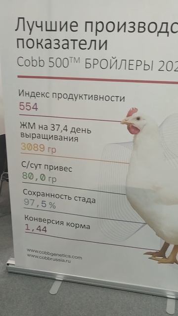 Российская агропромышленная выставка «Золотая осень». Сенсация павильона «Животноводство» (5) смотреть онлайн