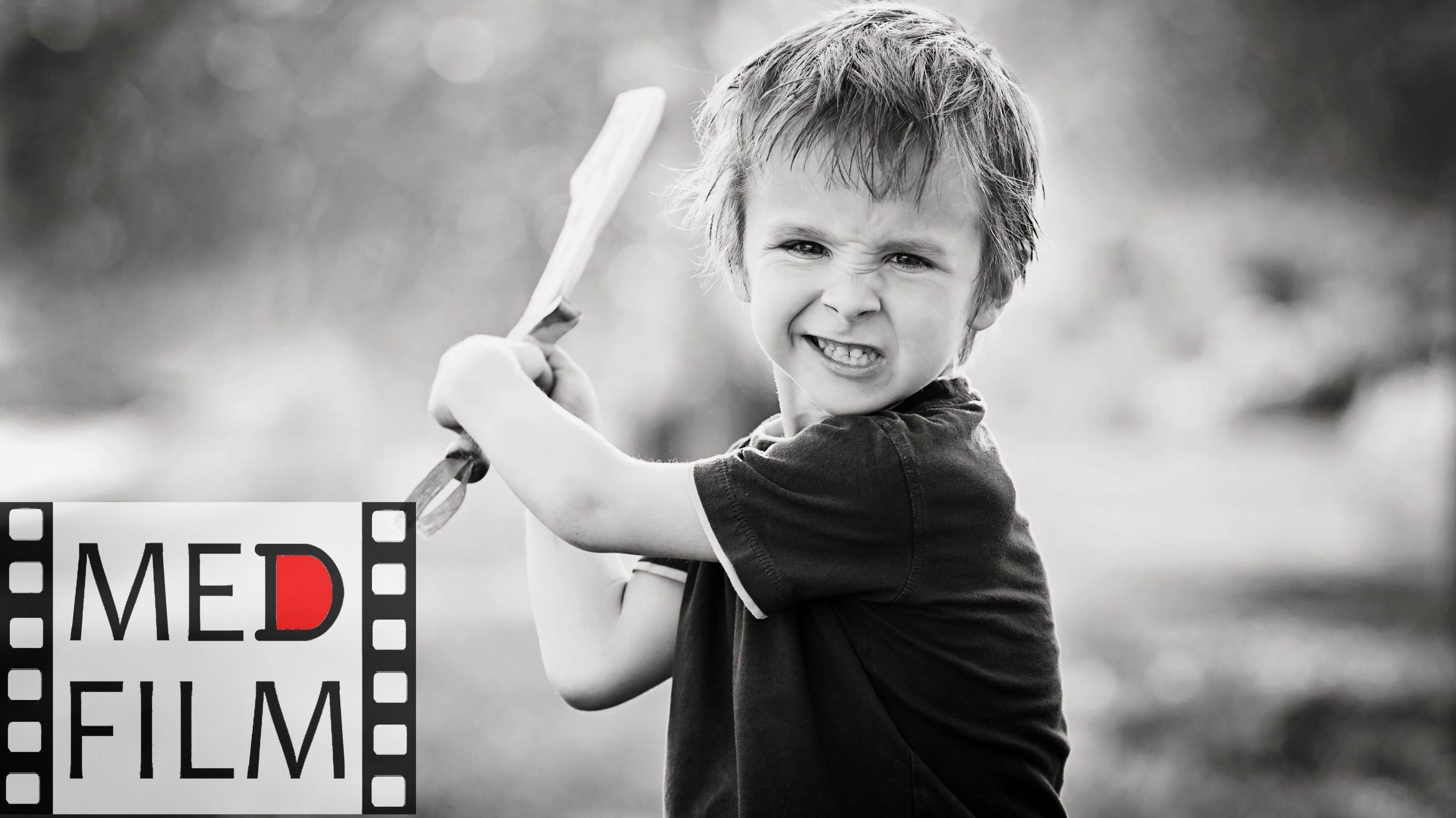 (англ.) Истоки детской агрессии ©