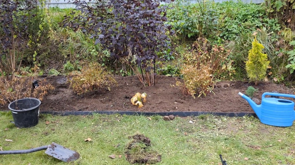 12-10-2025.Дача.Новая клумба с бардюром.Сливаю воду из летнего душа. смотреть онлайн