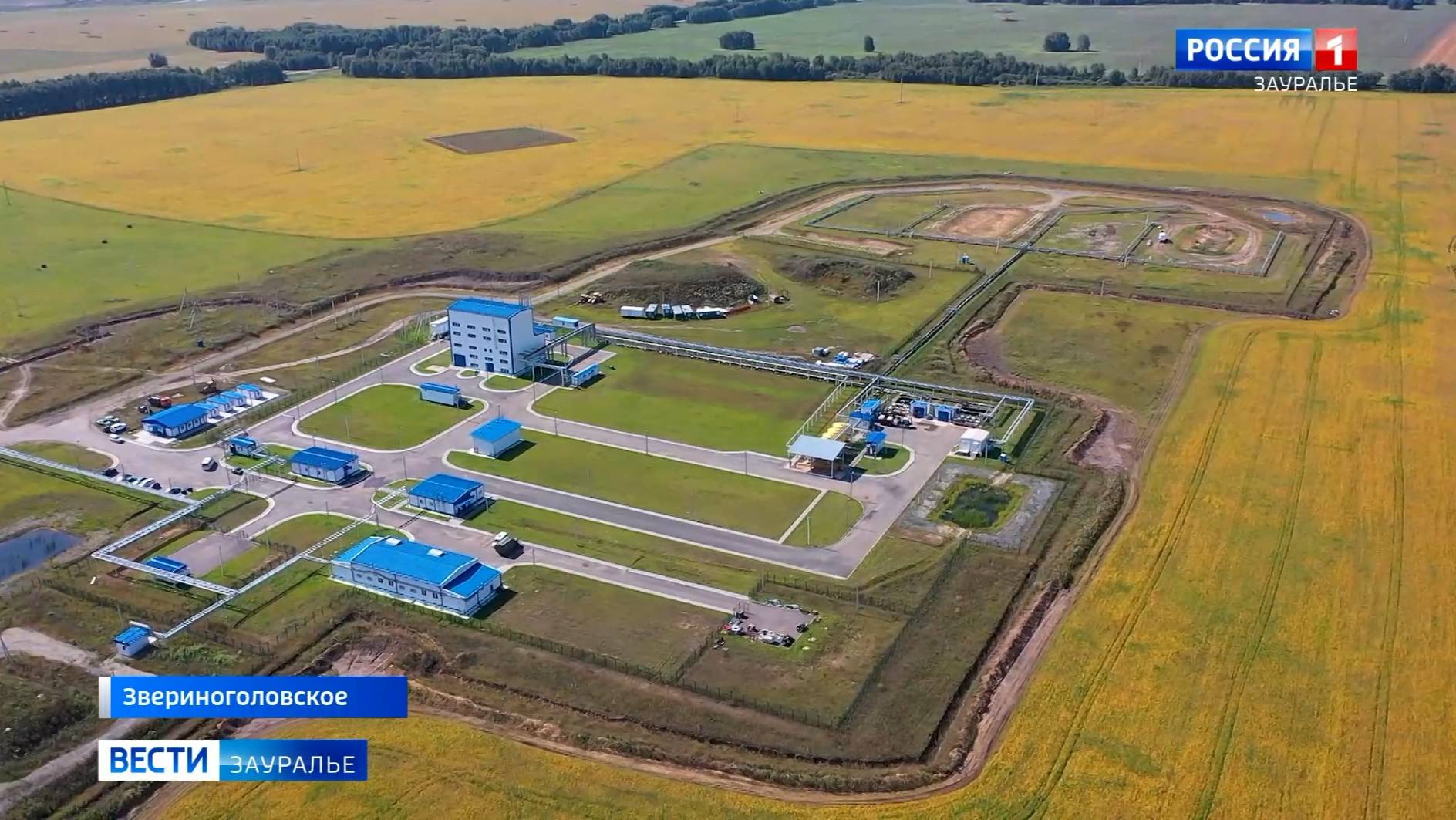 На месторождении «Добровольное» в Звериноголовском округе прошла научно-практическая конференция смотреть онлайн