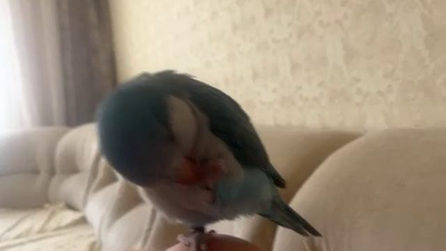 78170334543__B8963B32-906E-49CA-88C5-21A73B070E4E смотреть онлайн