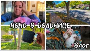 СЛОЖНЫЙ ДЕНЬ...