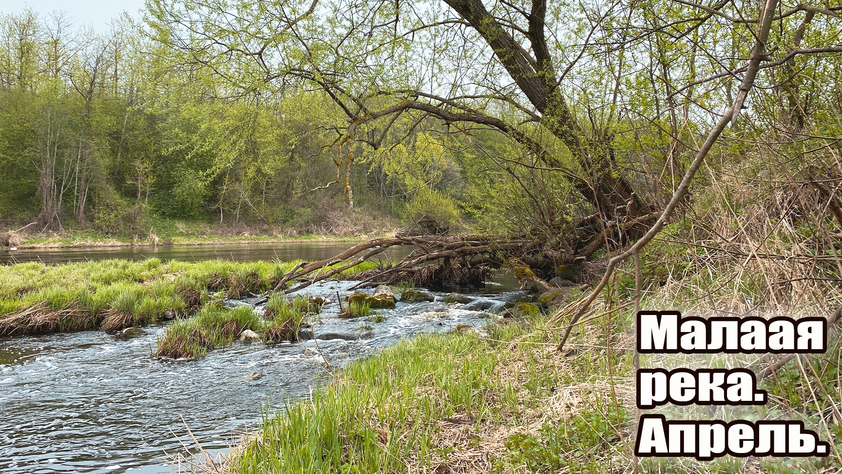 Малая река. Апрель.2025