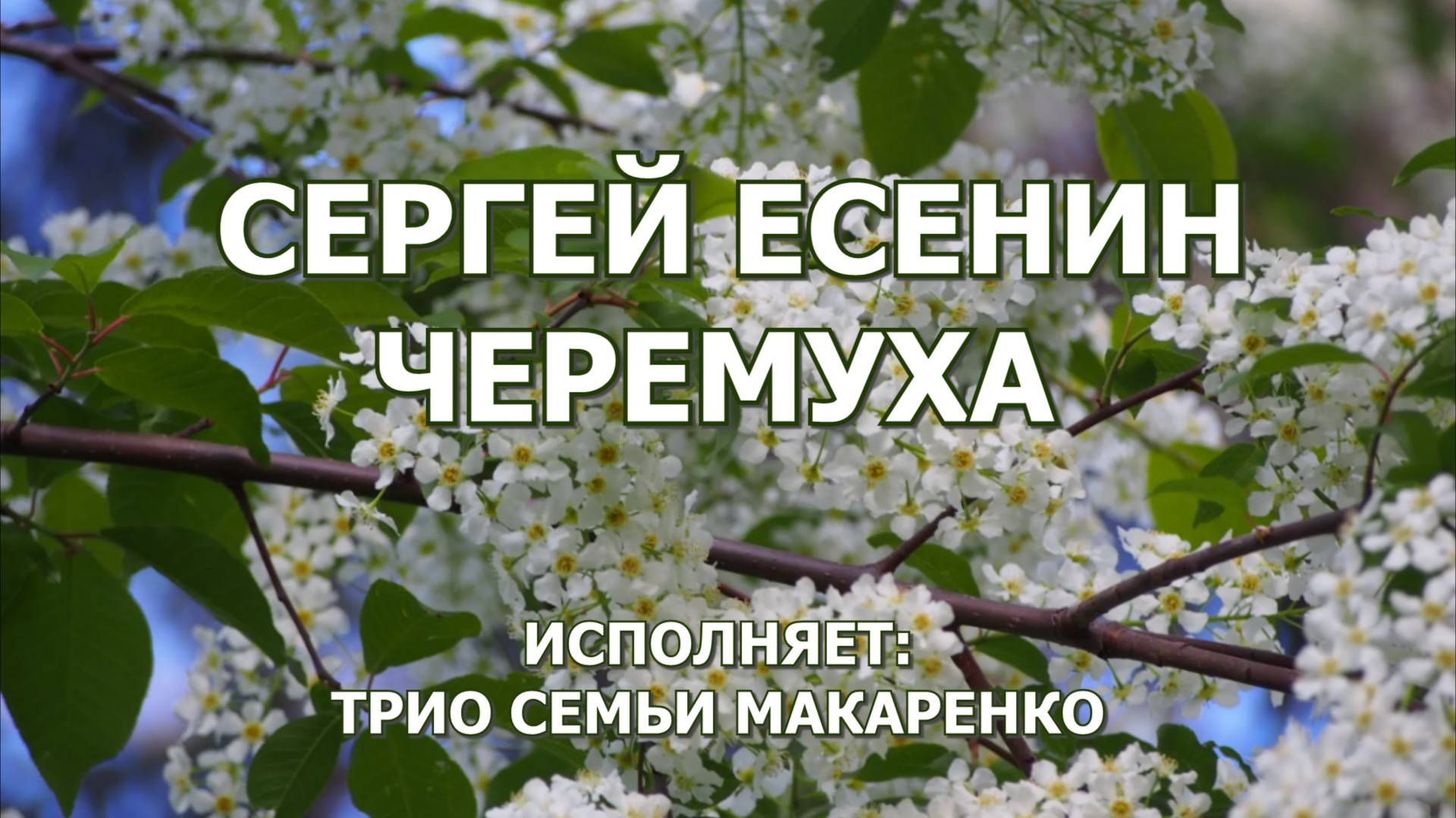 Черемуха. Сергей Есенин. Музыка Николай Макаренко.