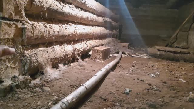 ДРЕВОТОЧЕЦ жрет сруб! Нужна ли обработка сруба от жука ДРЕВОТОЧЦА, короеда и ТОЧИЛЬЩИКА. смотреть онлайн