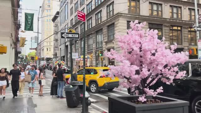 🗽 🇺🇸 Нью-Йорк, США - пешеходная экскурсия по Нью-Йорку в районе Сохо / 2025