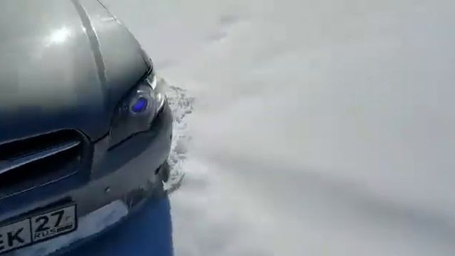 Посадили Легася