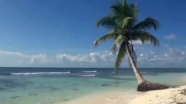 Шум моря и музыка для сна релакс смотреть онлайн