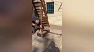 голуби Маношина А. И.